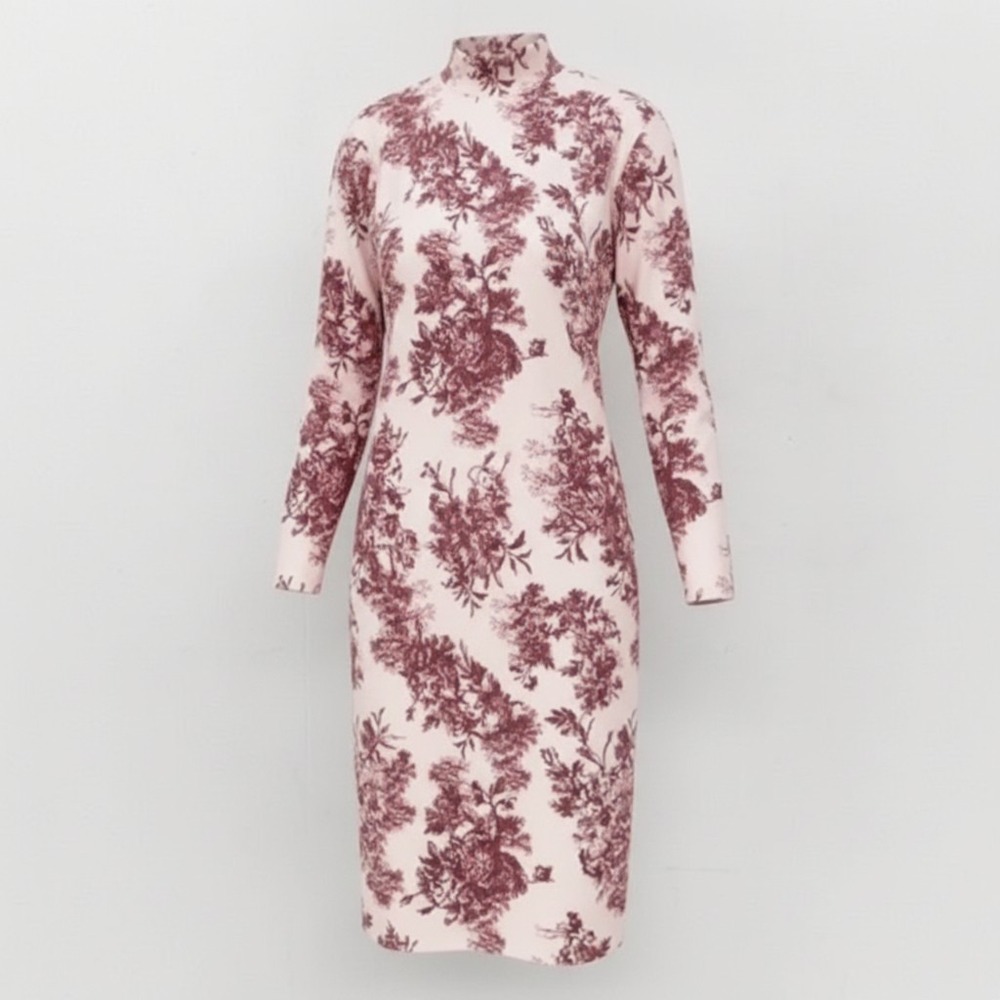 NWT Zara Floral Toile Midi Mock Neck Dress Womens Sz S Cottagecore Parisian Chic
